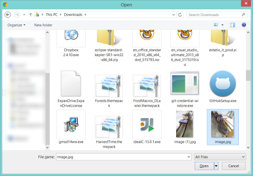 030 choose file using browser 520